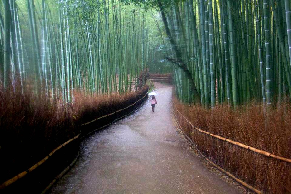 High School in Japan