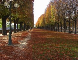 8 Reasons to Teach in a Homestay in Europe in the Fall